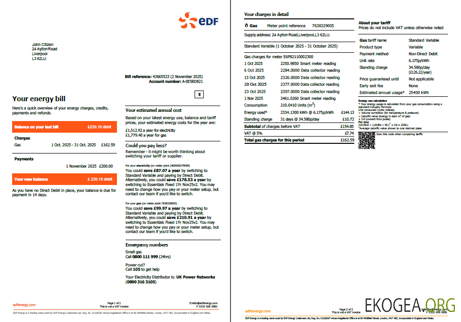 France EDF utility bill template in Word and PDF formats, 2 pages
